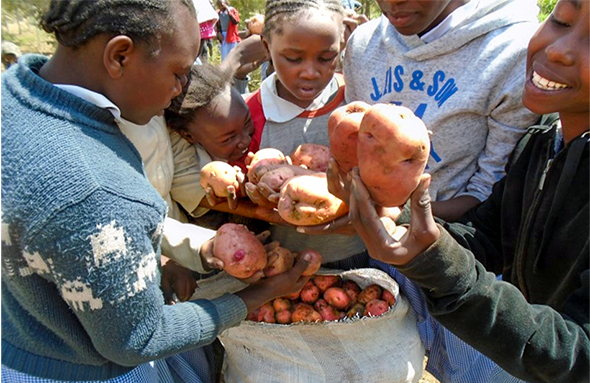 Tanzania mbinga Mkono wa mara