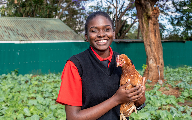 Raise lively animals, gift catalogue chalice