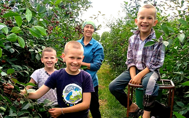harvest potential on a farm, gift catalogue chalice