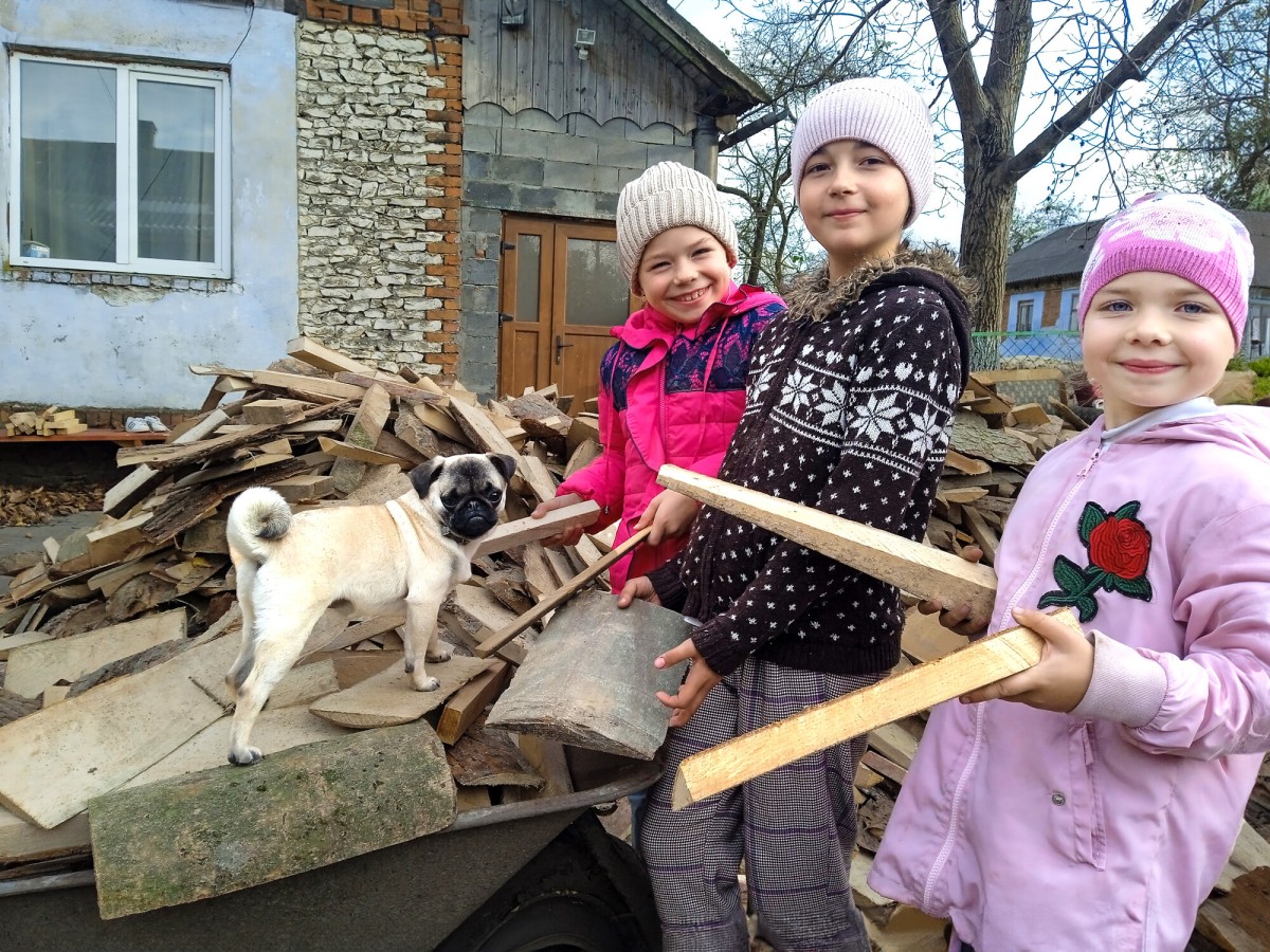 Viktor siblings pick firewood home heating
