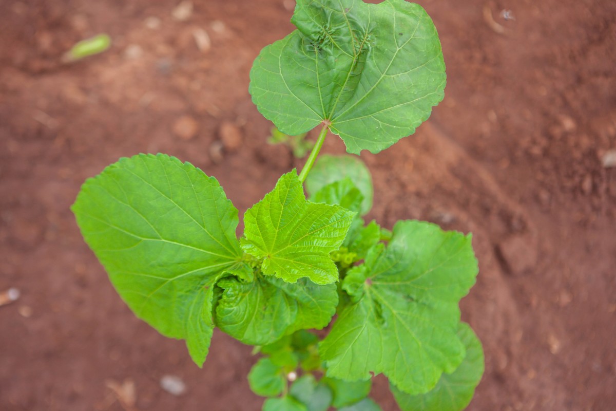 Generosity without the CRA gloom