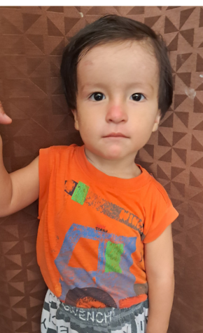 Joar