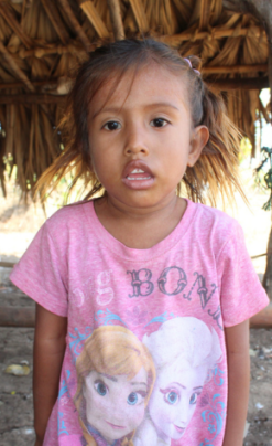 Evelyn